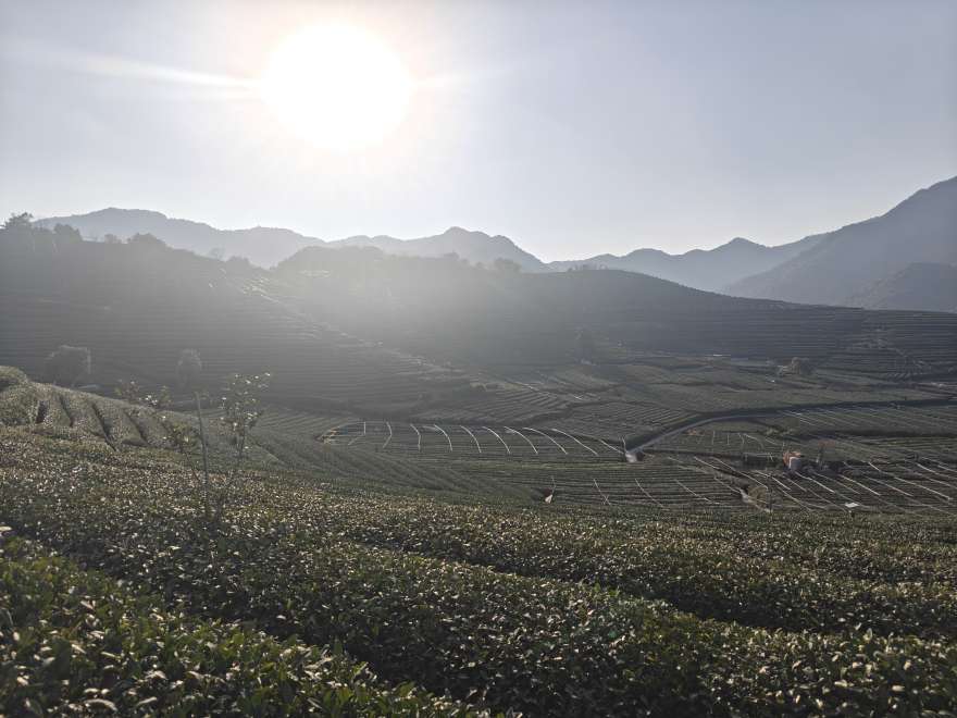 2026.02.08 游茶山 赏美景